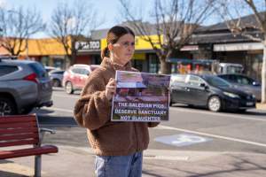 8 August 2026: Save The Salesian Pigs: Sunbury Outreach - Captured at VIC.