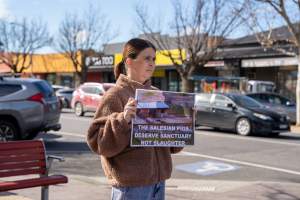 8 August 2026: Save The Salesian Pigs: Sunbury Outreach - Captured at VIC.