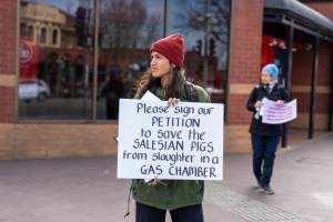 8 August 2026: Save The Salesian Pigs: Sunbury Outreach - Captured at VIC.