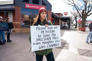 8 August 2026: Save The Salesian Pigs: Sunbury Outreach - Captured at VIC.