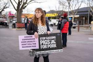8 August 2026: Save The Salesian Pigs: Sunbury Outreach - Captured at VIC.