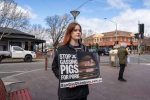22 August 2026: Save The Salesian Pigs: Sunbury Outreach - Captured at VIC.
