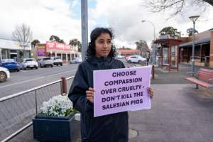 22 August 2026: Save The Salesian Pigs: Sunbury Outreach - Captured at VIC.