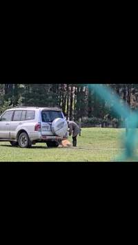 Neglected and injured horses - Screenshot from footage