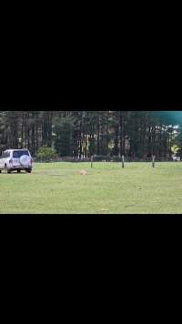Neglected and injured horses - Screenshot from footage