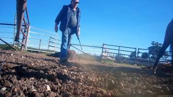 Horse yards and slaughter at residential property of Peter Loffel - Screenshots from hidden camera footage showing the receival and slaughter of ex-racing and breeding thoroughbreds and standardbreds. - Captured at Peter Loffel's Illegal Knackery, Mooroopna VIC Australia.