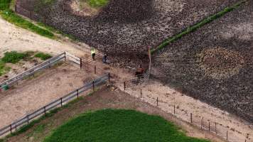 Horse yards and slaughter at residential property of Peter Loffel - Screenshots from drone footage showing the slaughter of ex-racing and breeding thoroughbreds and standardbreds. - Captured at Peter Loffel's Illegal Knackery, Mooroopna VIC Australia.