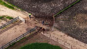 Horse yards and slaughter at residential property of Peter Loffel - Screenshots from drone footage showing the slaughter of ex-racing and breeding thoroughbreds and standardbreds. - Captured at Peter Loffel's Illegal Knackery, Mooroopna VIC Australia.