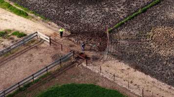 Horse yards and slaughter at residential property of Peter Loffel - Screenshots from drone footage showing the slaughter of ex-racing and breeding thoroughbreds and standardbreds. - Captured at Peter Loffel's Illegal Knackery, Mooroopna VIC Australia.