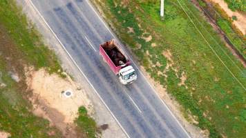 Knackery truck on road - Screenshots from drone footage showing the slaughter of ex-racing and breeding thoroughbreds and standardbreds. - Captured at Peter Loffel's Illegal Knackery, Mooroopna VIC Australia.