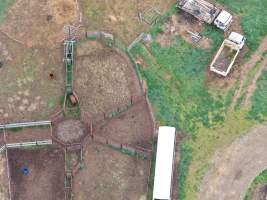 Drone flyover - Drone footage of illegal horse knackery - Captured at Peter Loffel's Illegal Knackery, Mooroopna VIC Australia.