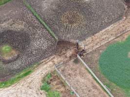 Standardbred horse slaughter - Drone footage of illegal horse knackery - Captured at Peter Loffel's Illegal Knackery, Mooroopna VIC Australia.