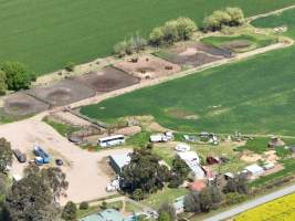 Thoroughbred and standardbred horses at illegal horse knackery - Drone footage of illegal horse knackery - Captured at Peter Loffel's Illegal Knackery, Mooroopna VIC Australia.