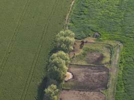 Thoroughbred horses at illegal horse knackery - Drone footage of illegal horse knackery - Captured at Peter Loffel's Illegal Knackery, Mooroopna VIC Australia.