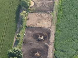 Thoroughbred horses at illegal horse knackery - Drone footage of illegal horse knackery - Captured at Peter Loffel's Illegal Knackery, Mooroopna VIC Australia.