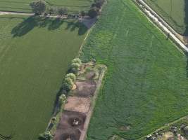 Thoroughbred horses at illegal horse knackery - Drone footage of illegal horse knackery - Captured at Peter Loffel's Illegal Knackery, Mooroopna VIC Australia.