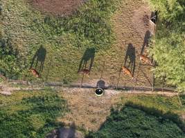 Thoroughbred horses at illegal horse knackery - Drone footage of illegal horse knackery - Captured at Peter Loffel's Illegal Knackery, Mooroopna VIC Australia.