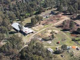 Peter Loffel's second property - At a second property owned by Loffel, surplus horses are kept for an unknown purpose. Many of these horses were identified as thoroughbreds, including ex-racehorses. - Captured at Peter Loffel's Secret Horse Depot, Mooroopna VIC Australia.