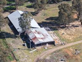 Peter Loffel's second property - At a second property owned by Loffel, surplus horses are kept for an unknown purpose. Many of these horses were identified as thoroughbreds, including ex-racehorses. - Captured at Peter Loffel's Secret Horse Depot, Mooroopna VIC Australia.