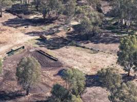 Peter Loffel's second property - At a second property owned by Loffel, surplus horses are kept for an unknown purpose. Many of these horses were identified as thoroughbreds, including ex-racehorses. - Captured at Peter Loffel's Secret Horse Depot, Mooroopna VIC Australia.