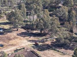 Peter Loffel's second property - At a second property owned by Loffel, surplus horses are kept for an unknown purpose. Many of these horses were identified as thoroughbreds, including ex-racehorses. - Captured at Peter Loffel's Secret Horse Depot, Mooroopna VIC Australia.