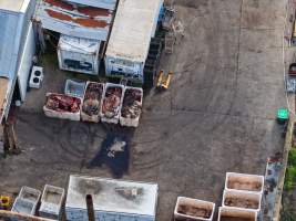 Offal bins at knackery - Goulburn Valley stock removers owned by horse dealer Peter Loffel. Horses killed illegally at his property will be taken to the knackery and processed into pet food. The knackery also processes the bodies of cows, often dairy cows who are pregnant when they arrive. - Captured at Goulburn Valley Stock Removers, Shepparton North VIC Australia.