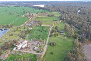 Drone images of knackery - Goulburn Valley stock removers owned by horse dealer Peter Loffel. Horses killed illegally at his property will be taken to the knackery and processed into pet food. The knackery also processes the bodies of cows, often dairy cows who are pregnant when they arrive. - Captured at Goulburn Valley Stock Removers, Shepparton North VIC Australia.