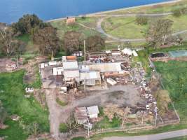 Drone images of knackery - Goulburn Valley stock removers owned by horse dealer Peter Loffel. Horses killed illegally at his property will be taken to the knackery and processed into pet food. The knackery also processes the bodies of cows, often dairy cows who are pregnant when they arrive. - Captured at Goulburn Valley Stock Removers, Shepparton North VIC Australia.
