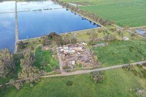 Drone images of knackery - Goulburn Valley stock removers owned by horse dealer Peter Loffel. Horses killed illegally at his property will be taken to the knackery and processed into pet food. The knackery also processes the bodies of cows, often dairy cows who are pregnant when they arrive. - Captured at Goulburn Valley Stock Removers, Shepparton North VIC Australia.