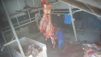 Carcass in processing room - Screenshots taken from hidden cameras installed at Goulburn Valley Knackery, owned by Peter Loffel. The knackery processes cows and horses into pet food. - Captured at Goulburn Valley Stock Removers, Shepparton North VIC Australia.