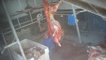 Carcass in processing room - Screenshots taken from hidden cameras installed at Goulburn Valley Knackery, owned by Peter Loffel. The knackery processes cows and horses into pet food. - Captured at Goulburn Valley Stock Removers, Shepparton North VIC Australia.