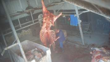 Carcass in processing room - Screenshots taken from hidden cameras installed at Goulburn Valley Knackery, owned by Peter Loffel. The knackery processes cows and horses into pet food. - Captured at Goulburn Valley Stock Removers, Shepparton North VIC Australia.
