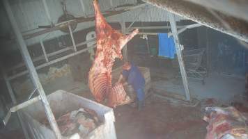 Carcass in processing room - Screenshots taken from hidden cameras installed at Goulburn Valley Knackery, owned by Peter Loffel. The knackery processes cows and horses into pet food. - Captured at Goulburn Valley Stock Removers, Shepparton North VIC Australia.