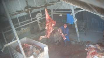 Carcass in processing room - Screenshots taken from hidden cameras installed at Goulburn Valley Knackery, owned by Peter Loffel. The knackery processes cows and horses into pet food. - Captured at Goulburn Valley Stock Removers, Shepparton North VIC Australia.