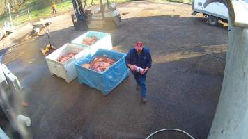 Unknown white powder in napisan container - Screenshots taken from hidden cameras installed at Goulburn Valley Knackery, owned by Peter Loffel. The knackery processes cows and horses into pet food. - Captured at Goulburn Valley Stock Removers, Shepparton North VIC Australia.