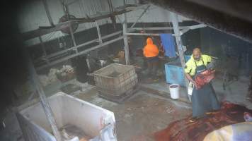 Head of grey horse in processing room - Screenshots taken from hidden cameras installed at Goulburn Valley Knackery, owned by Peter Loffel. The knackery processes cows and horses into pet food. - Captured at Goulburn Valley Stock Removers, Shepparton North VIC Australia.