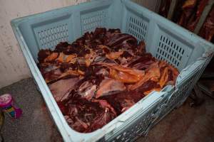 Crate of pet meat - Handheld photos taken at Goulburn Valley Stock Removers, owned by horse dealer Peter Loffel. Ex-racehorses are illegally killed on his residential property then transported to the knackery, where they are processed into pet food. The knackery also processes dead cows, mainly dairy cows. - Captured at Goulburn Valley Stock Removers, Shepparton North VIC Australia.