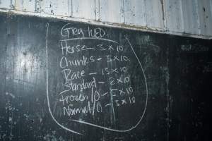 Blackboard inside processing room - Handheld photos taken at Goulburn Valley Stock Removers, owned by horse dealer Peter Loffel. Ex-racehorses are illegally killed on his residential property then transported to the knackery, where they are processed into pet food. The knackery also processes dead cows, mainly dairy cows. - Captured at Goulburn Valley Stock Removers, Shepparton North VIC Australia.