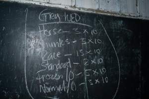 Blackboard inside processing room - Handheld photos taken at Goulburn Valley Stock Removers, owned by horse dealer Peter Loffel. Ex-racehorses are illegally killed on his residential property then transported to the knackery, where they are processed into pet food. The knackery also processes dead cows, mainly dairy cows. - Captured at Goulburn Valley Stock Removers, Shepparton North VIC Australia.