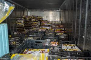 Stacks of pet mince in chiller - Handheld photos taken at Goulburn Valley Stock Removers, owned by horse dealer Peter Loffel. Ex-racehorses are illegally killed on his residential property then transported to the knackery, where they are processed into pet food. The knackery also processes dead cows, mainly dairy cows. - Captured at Goulburn Valley Stock Removers, Shepparton North VIC Australia.
