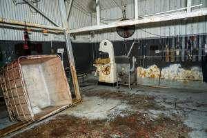 Processing room at knackery - Handheld photos taken at Goulburn Valley Stock Removers, owned by horse dealer Peter Loffel. Ex-racehorses are illegally killed on his residential property then transported to the knackery, where they are processed into pet food. The knackery also processes dead cows, mainly dairy cows. - Captured at Goulburn Valley Stock Removers, Shepparton North VIC Australia.