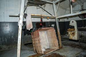 Processing room at knackery - Handheld photos taken at Goulburn Valley Stock Removers, owned by horse dealer Peter Loffel. Ex-racehorses are illegally killed on his residential property then transported to the knackery, where they are processed into pet food. The knackery also processes dead cows, mainly dairy cows. - Captured at Goulburn Valley Stock Removers, Shepparton North VIC Australia.