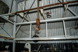 Carcass hook inside processing room - Handheld photos taken at Goulburn Valley Stock Removers, owned by horse dealer Peter Loffel. Ex-racehorses are illegally killed on his residential property then transported to the knackery, where they are processed into pet food. The knackery also processes dead cows, mainly dairy cows. - Captured at Goulburn Valley Stock Removers, Shepparton North VIC Australia.