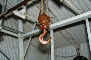 Carcass hook inside processing room - Handheld photos taken at Goulburn Valley Stock Removers, owned by horse dealer Peter Loffel. Ex-racehorses are illegally killed on his residential property then transported to the knackery, where they are processed into pet food. The knackery also processes dead cows, mainly dairy cows. - Captured at Goulburn Valley Stock Removers, Shepparton North VIC Australia.