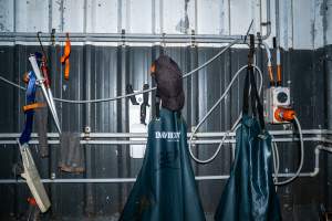 Aprons and knives on wall - Handheld photos taken at Goulburn Valley Stock Removers, owned by horse dealer Peter Loffel. Ex-racehorses are illegally killed on his residential property then transported to the knackery, where they are processed into pet food. The knackery also processes dead cows, mainly dairy cows. - Captured at Goulburn Valley Stock Removers, Shepparton North VIC Australia.