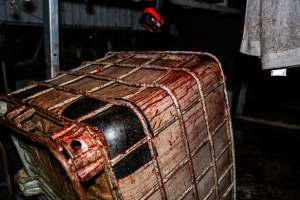 Bloodstained container - Handheld photos taken at Goulburn Valley Stock Removers, owned by horse dealer Peter Loffel. Ex-racehorses are illegally killed on his residential property then transported to the knackery, where they are processed into pet food. The knackery also processes dead cows, mainly dairy cows. - Captured at Goulburn Valley Stock Removers, Shepparton North VIC Australia.