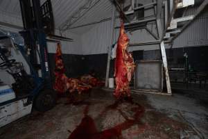 Carcasses in processing room - Handheld photos taken at Goulburn Valley Stock Removers, owned by horse dealer Peter Loffel. Ex-racehorses are illegally killed on his residential property then transported to the knackery, where they are processed into pet food. The knackery also processes dead cows, mainly dairy cows. - Captured at Goulburn Valley Stock Removers, Shepparton North VIC Australia.