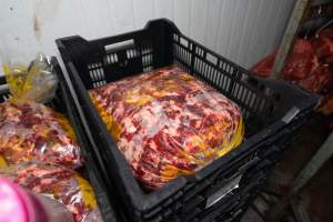 Crates of pet mince - Handheld photos taken at Goulburn Valley Stock Removers, owned by horse dealer Peter Loffel. Ex-racehorses are illegally killed on his residential property then transported to the knackery, where they are processed into pet food. The knackery also processes dead cows, mainly dairy cows. - Captured at Goulburn Valley Stock Removers, Shepparton North VIC Australia.