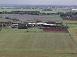 Drone flyover of dairy farm - Captured at Minko North Dairy, Korunye SA Australia.