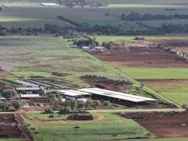 Drone flyover of dairy farm - Captured at Minko North Dairy, Korunye SA Australia.